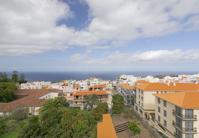 Apartment in Icod de los Vinos - Rooftop View Escape/ 1 Min to Center/Fast WIFI Apartment in Icod de los Vinos - Rooftop View Escape/ 1 Min to Center/Fast WIFI